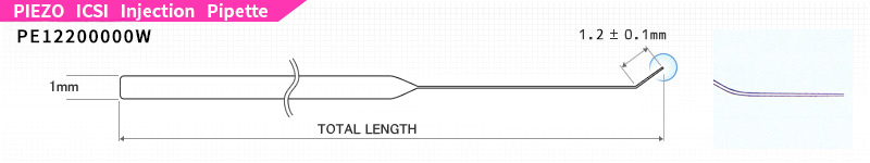 PIEZO diagram