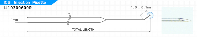 ICSI diagram